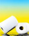 Ręcznik papierowy Renova Maxi Absorption 1R