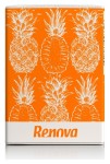 Chusteczki kieszonkowe Renova Nature 6x7