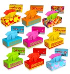 Zestaw DEMO Chusteczki wyciągane Renova 80szt 9 kolorów