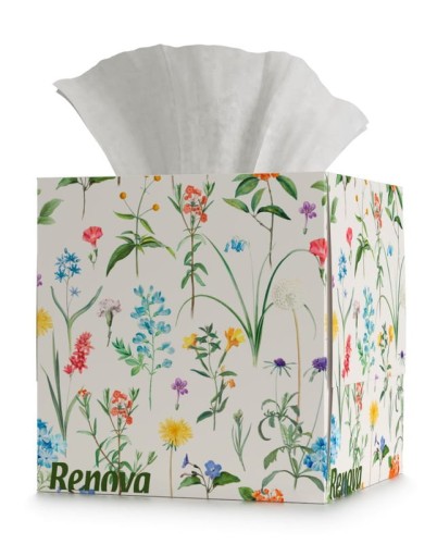 Chusteczki wyciągane Renova Dainty Flowers 50 szt