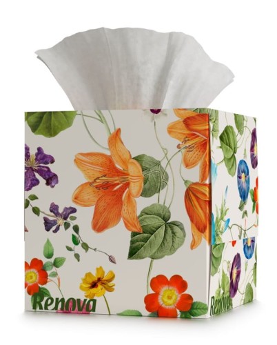 Chusteczki wyciągane Renova Floral 50 szt