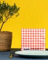 Serwetki Renova Picnic 20szt 33x33cm