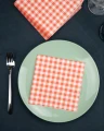 Serwetki Renova Picnic 20szt 33x33cm