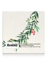 Serwetki Renova Xmas Wreath 20szt 33x33cm