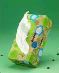 Chusteczki RECYCLED Renova 70 szt