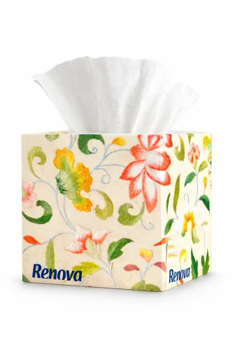 Chusteczki wyciągane do twarzy ogród 50 szt