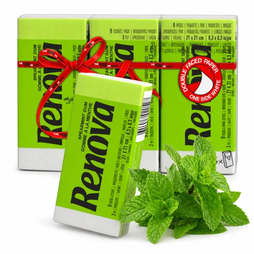 Chusteczki higieniczne Renova Green Spearmint 6 × 9 szt. – zdjęcie główne