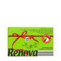 Renova Green Spearmint – front opakowania 6 × 9 szt.