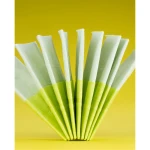 Renova Green Spearmint – dwukolorowe chusteczki