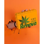 Chusteczki Higieniczne Renova Cannabis w Pudełku Mini 3-Warstwy 46 sztuk – widok produktu