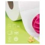 Parametry ręcznika Renova Pet Care 300 arkuszy